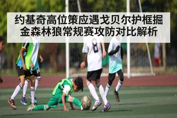 约基奇高位策应遇戈贝尔护框掘金森林狼常规赛攻防对比解析